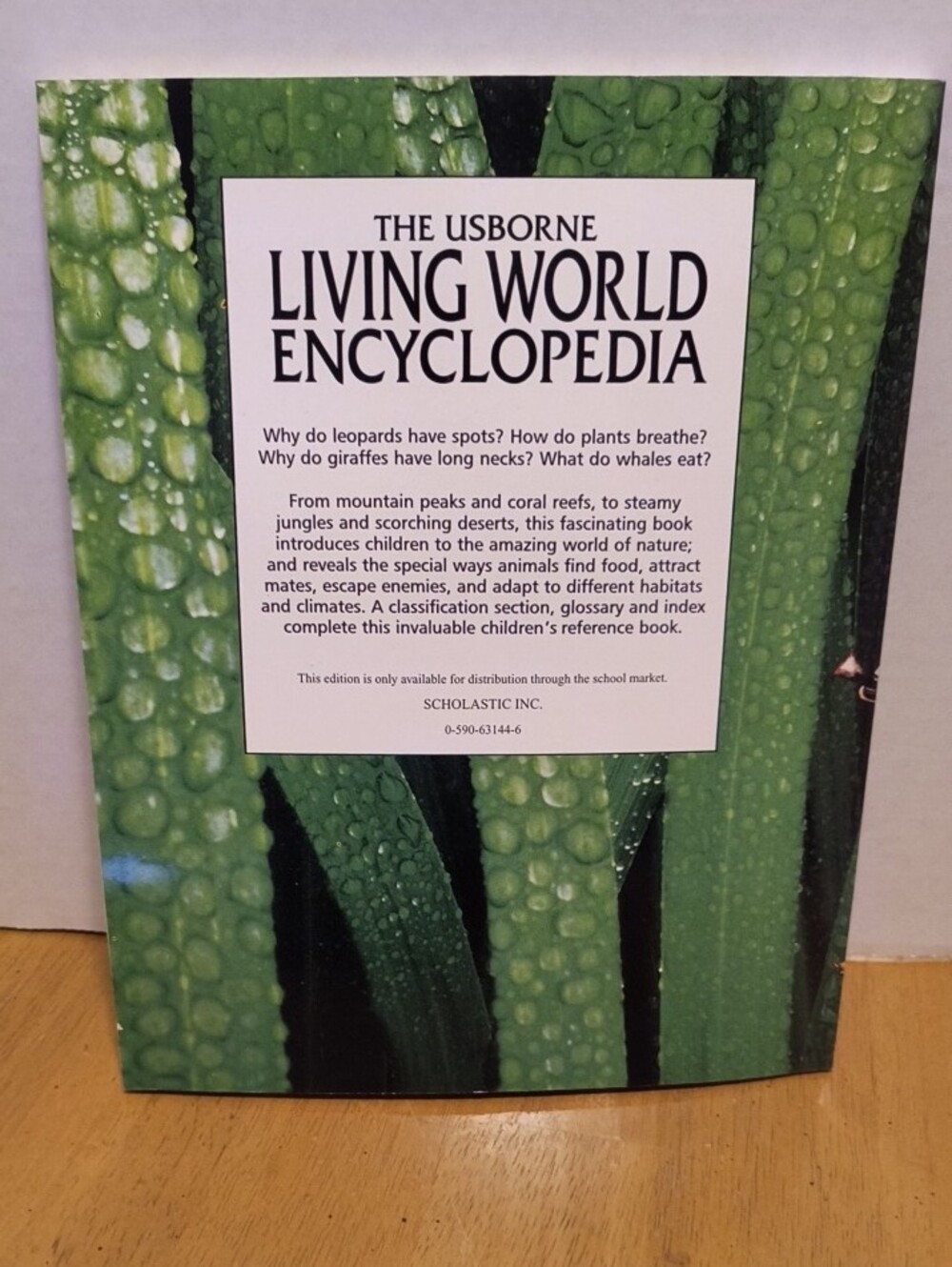 The Usborne Living World Encyclopedia - Red & Black Ladybug Cover B6 - Picture 2 of 2